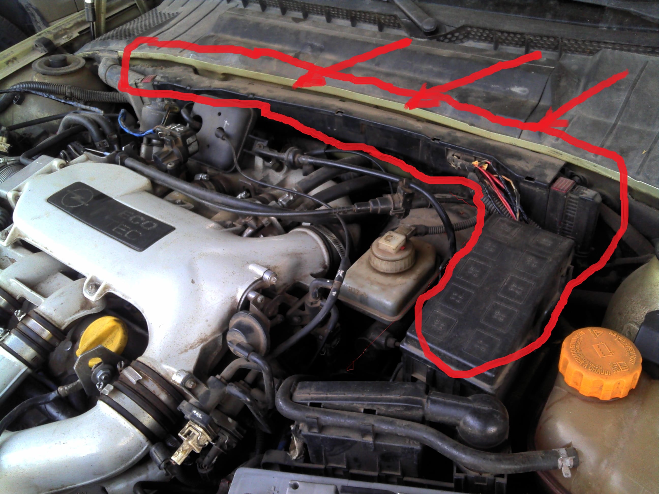 !
, , "fuel pump ready" , .
OPEL VECTRA B (36_)